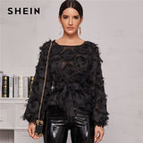 SHEIN Black Round Neck Sheer Elegant Blouse With Belt Women Spring Long Sleeve High Street Ladies Glamorous Blouses And Tops